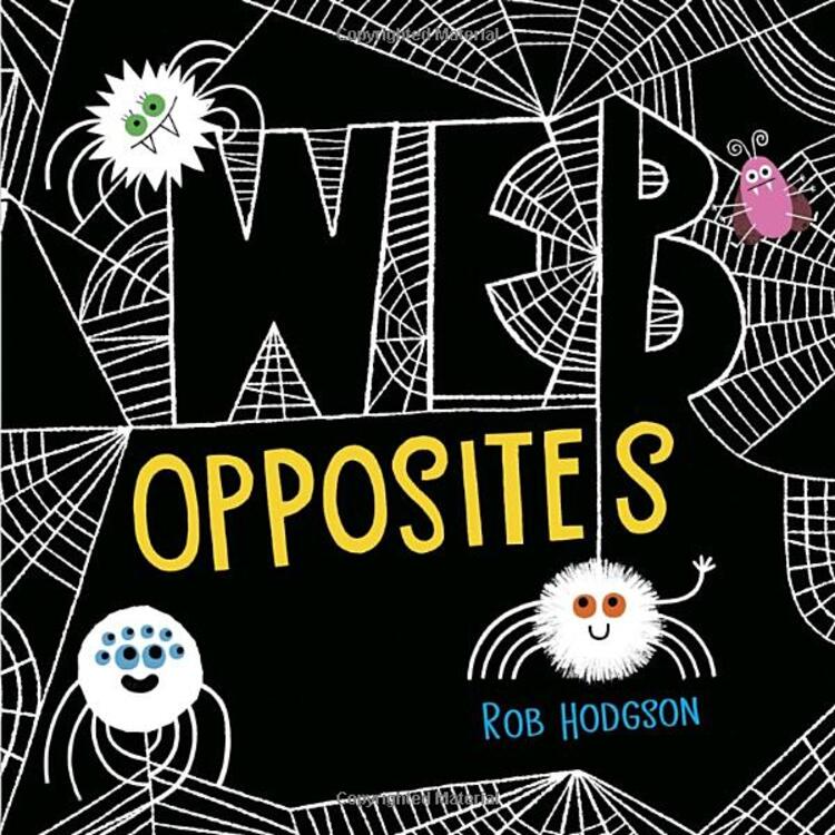 Web Opposites (Board Books)