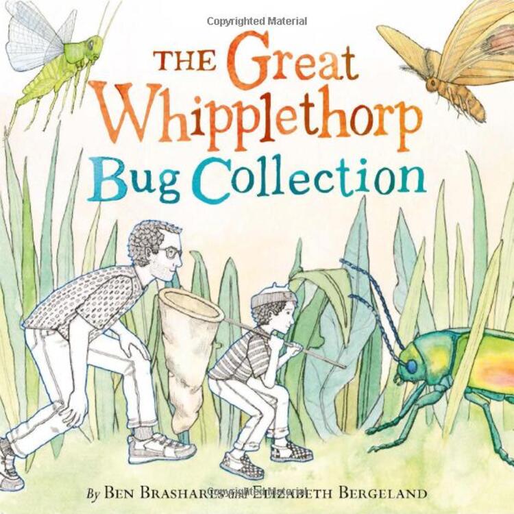 The Great Whipplethorp Bug Collection (Hardcover)