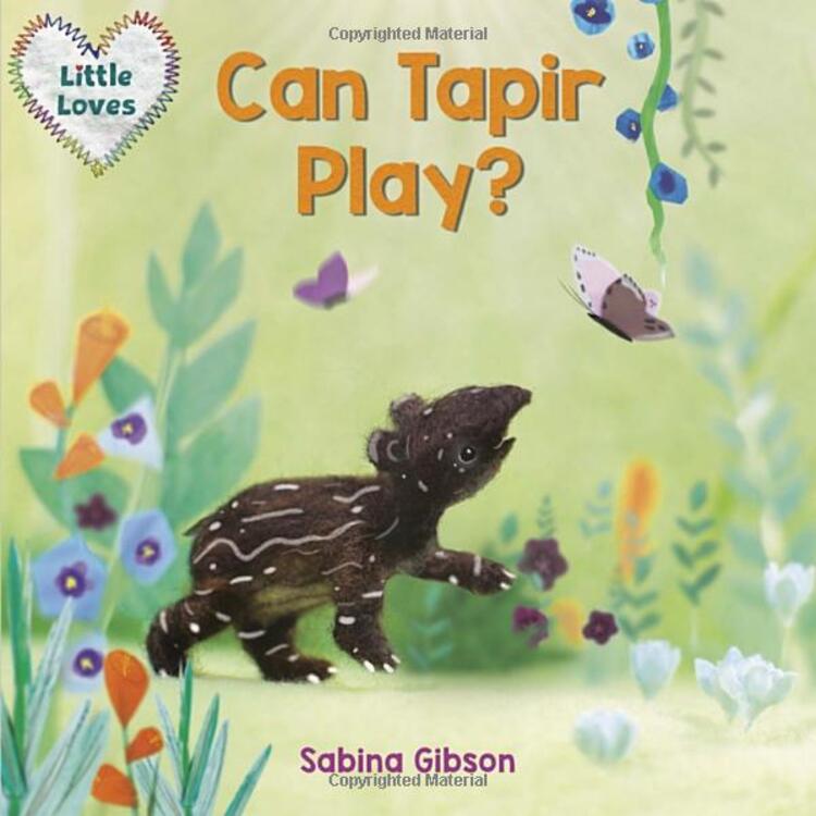 Can Tapir Play? (Little Loves) (Board Books)