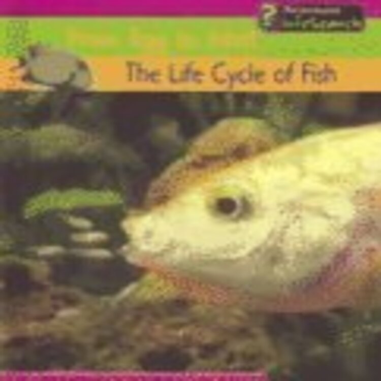 The Life Cycle of Fish