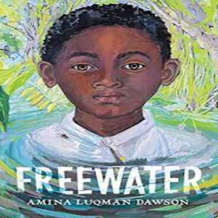Freewater (Hardcover)
