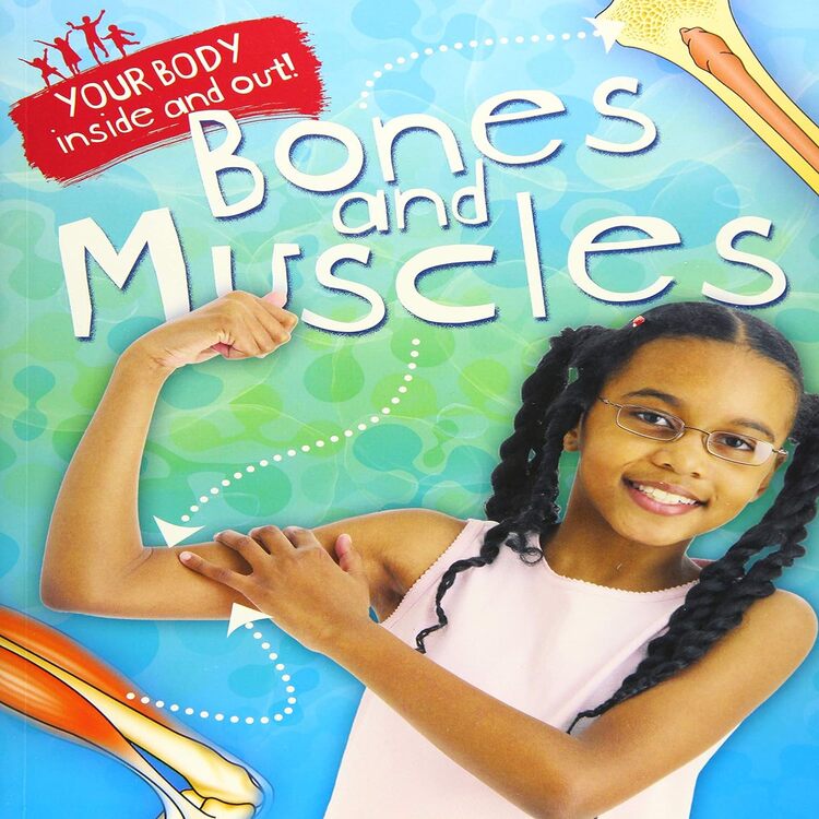 Your Body: Inside and Out: Bones and Muscles
