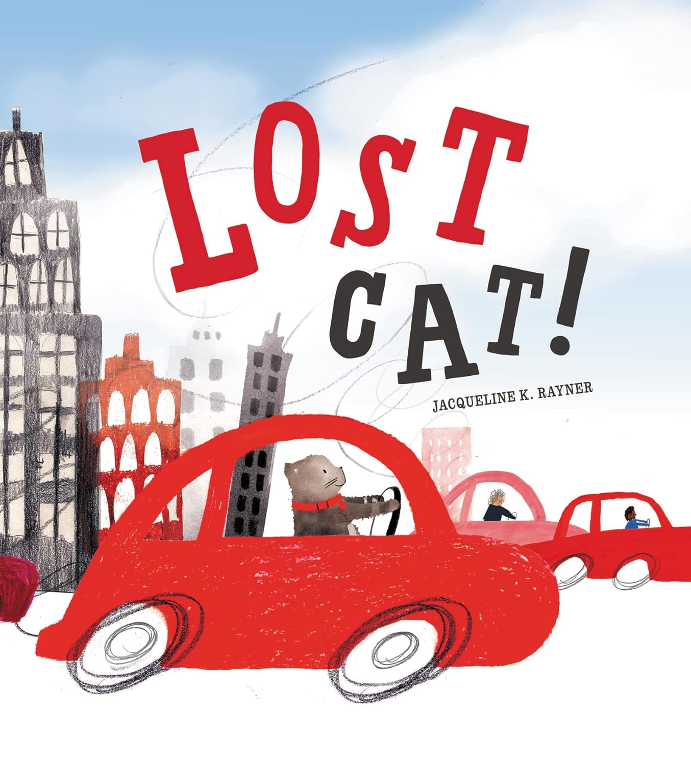 Lost Cat! (Hardcover)