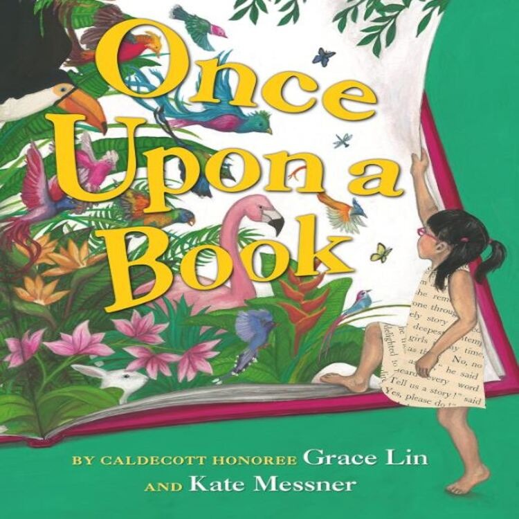 Once Upon a Book (Hardcover)